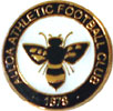 Badge of Alloa Athletic Football Club